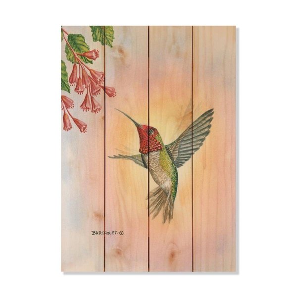 Wile E. Wood 14 x 20 in. Bartholets Anna Hummingbird Wood Art DBAH-1420